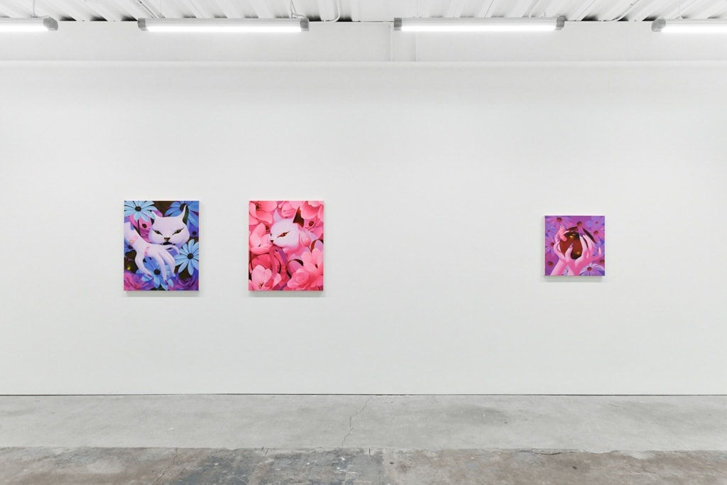 installation view of Megan Ellen MacDonald's exhibition 