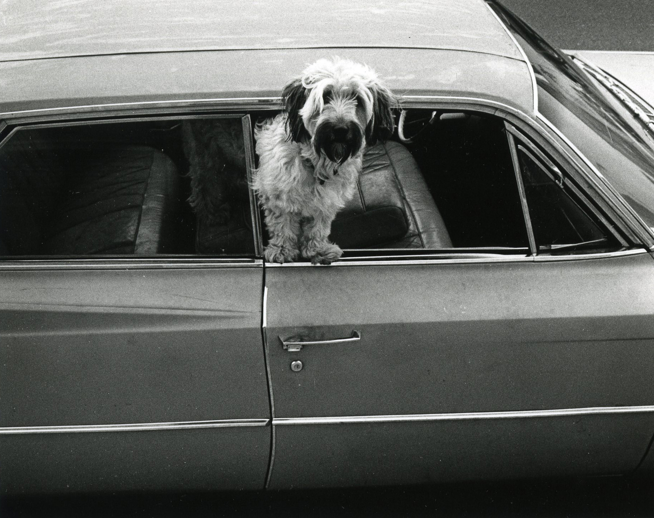 Gary Krueger, Los Angeles