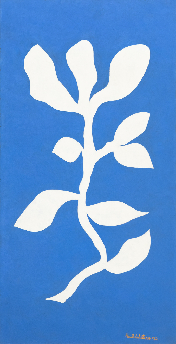 Paul Waters, Flower, 1972