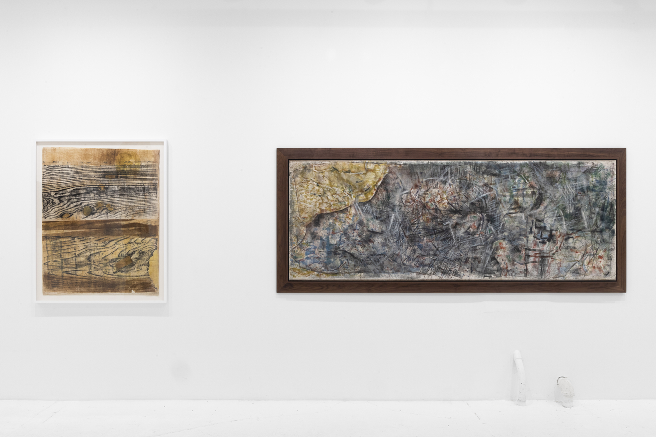 Sari Dienes: Night Eyes