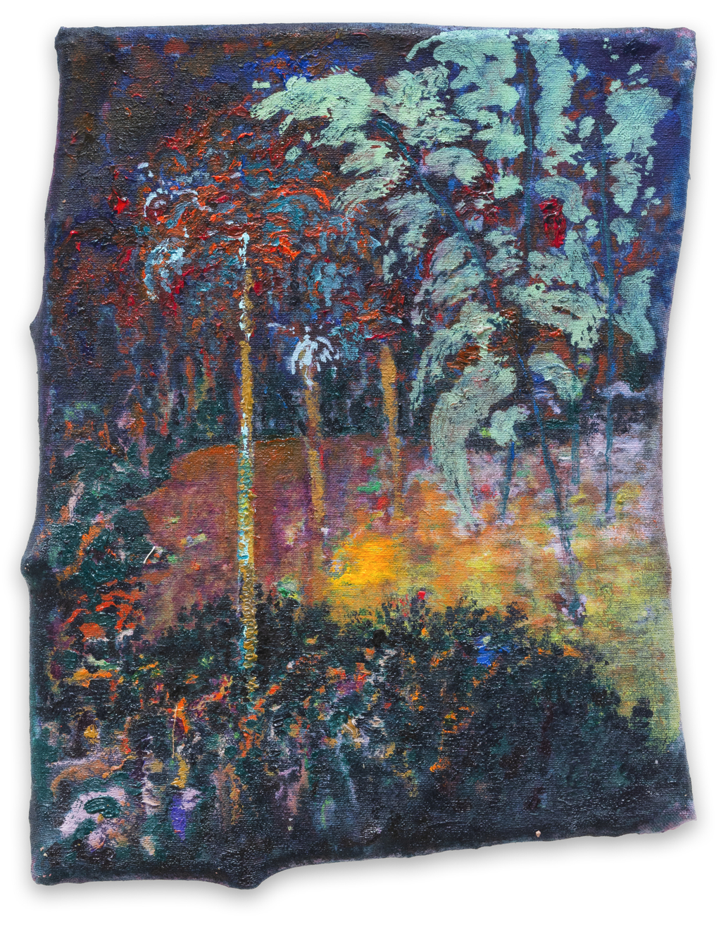 Javier Arce, Sobre lo cercano (Las exoticas), 2025