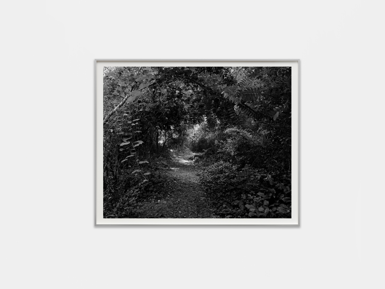 Dawoud Bey in Life on Land