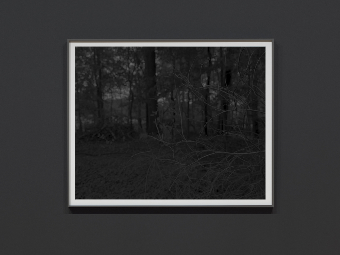 Dawoud Bey in Collaboration: A Potential History of Photography in Dialogue with the MoCP Collection