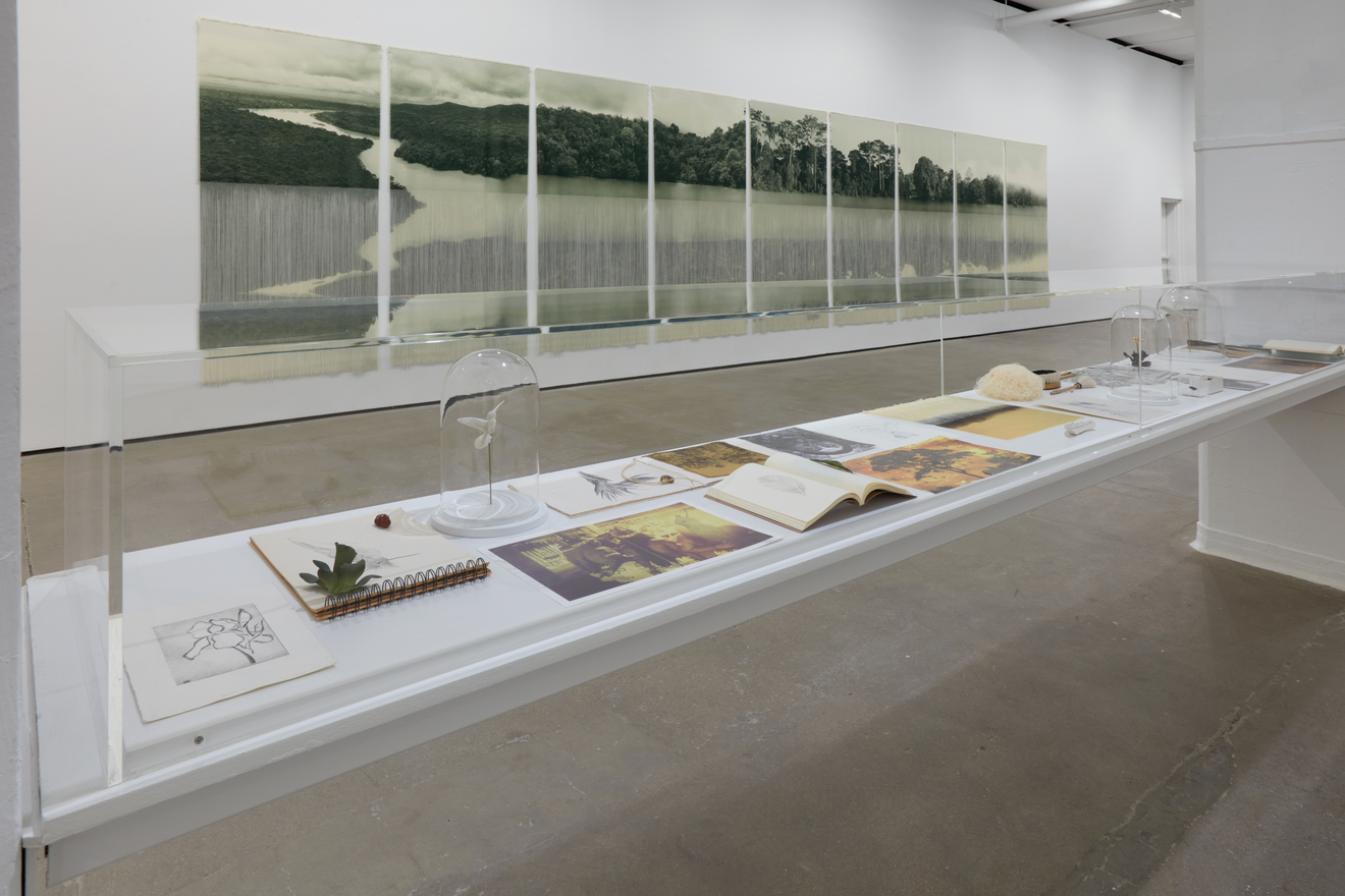 Installation view of&nbsp;Ana Gonz&aacute;lez: R&Iacute;O at Sean Kelly, New York, February 27 &ndash; April 11, 2026, Photography: Jason Wyche, Courtesy: Sean Kelly, New York