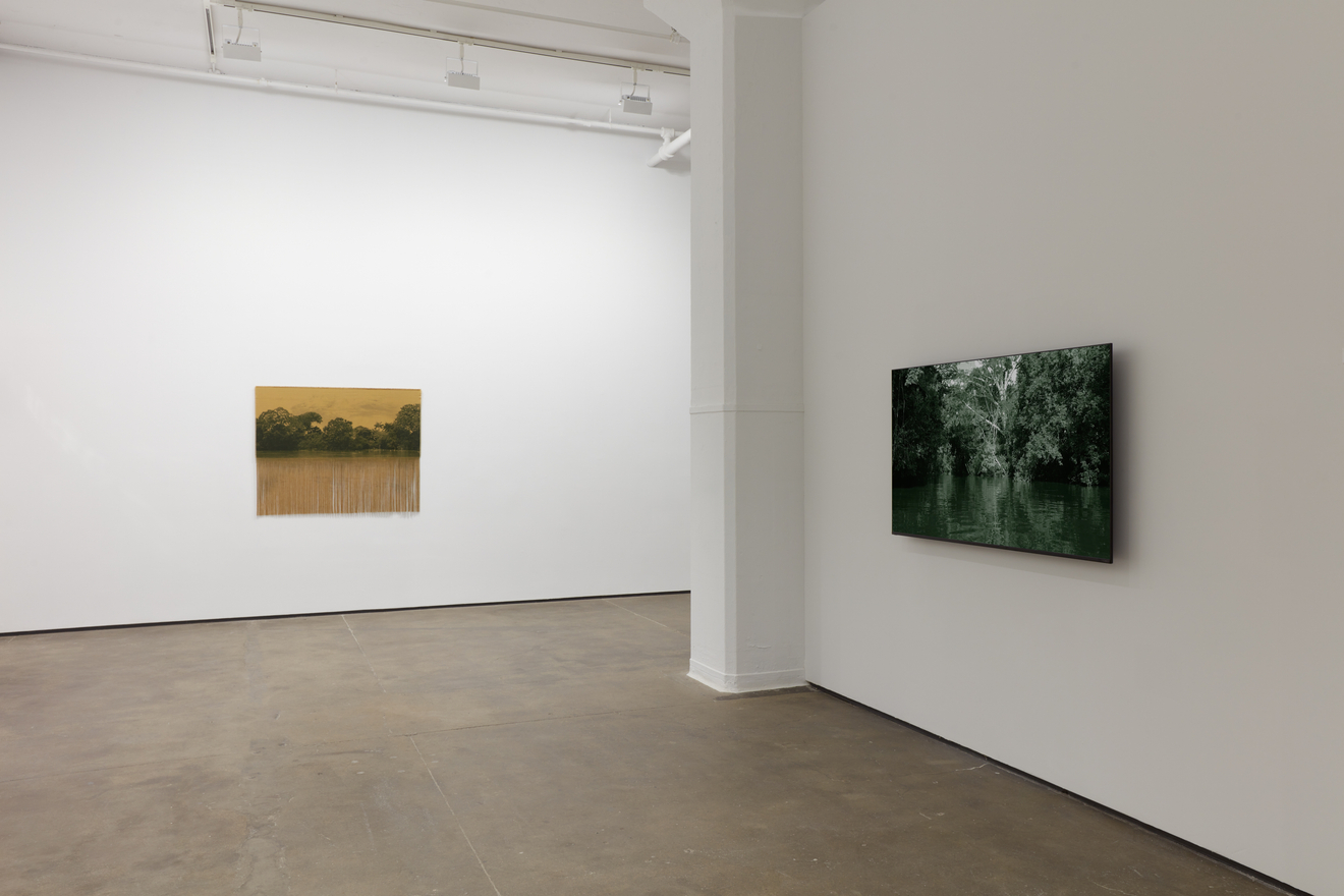 Installation view of&nbsp;Ana Gonz&aacute;lez: R&Iacute;O at Sean Kelly, New York, February 27 &ndash; April 11, 2026, Photography: Jason Wyche, Courtesy: Sean Kelly, New York