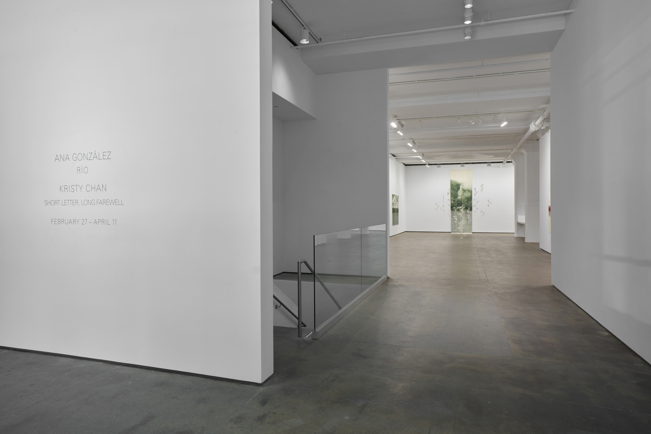 Installation view of&nbsp;Ana Gonz&aacute;lez: R&Iacute;O at Sean Kelly, New York, February 27 &ndash; April 11, 2026, Photography: Jason Wyche, Courtesy: Sean Kelly, New York