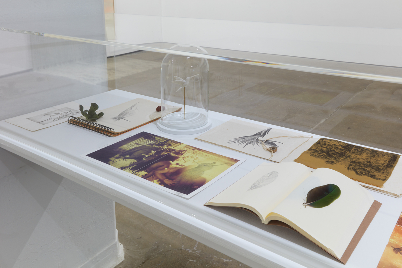 Installation view of&nbsp;Ana Gonz&aacute;lez: R&Iacute;O at Sean Kelly, New York, February 27 &ndash; April 11, 2026, Photography: Jason Wyche, Courtesy: Sean Kelly, New York