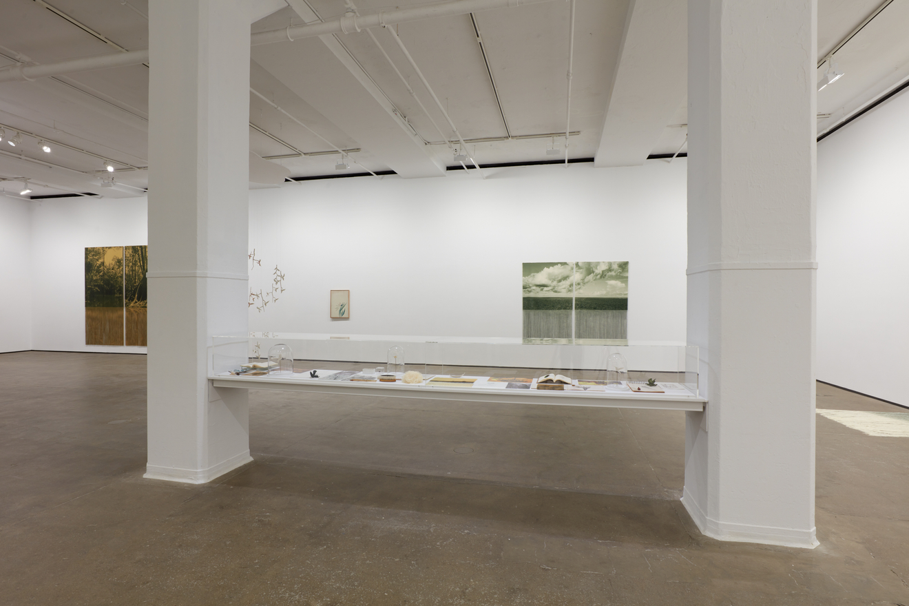 Installation view of&nbsp;Ana Gonz&aacute;lez: R&Iacute;O at Sean Kelly, New York, February 27 &ndash; April 11, 2026, Photography: Jason Wyche, Courtesy: Sean Kelly, New York