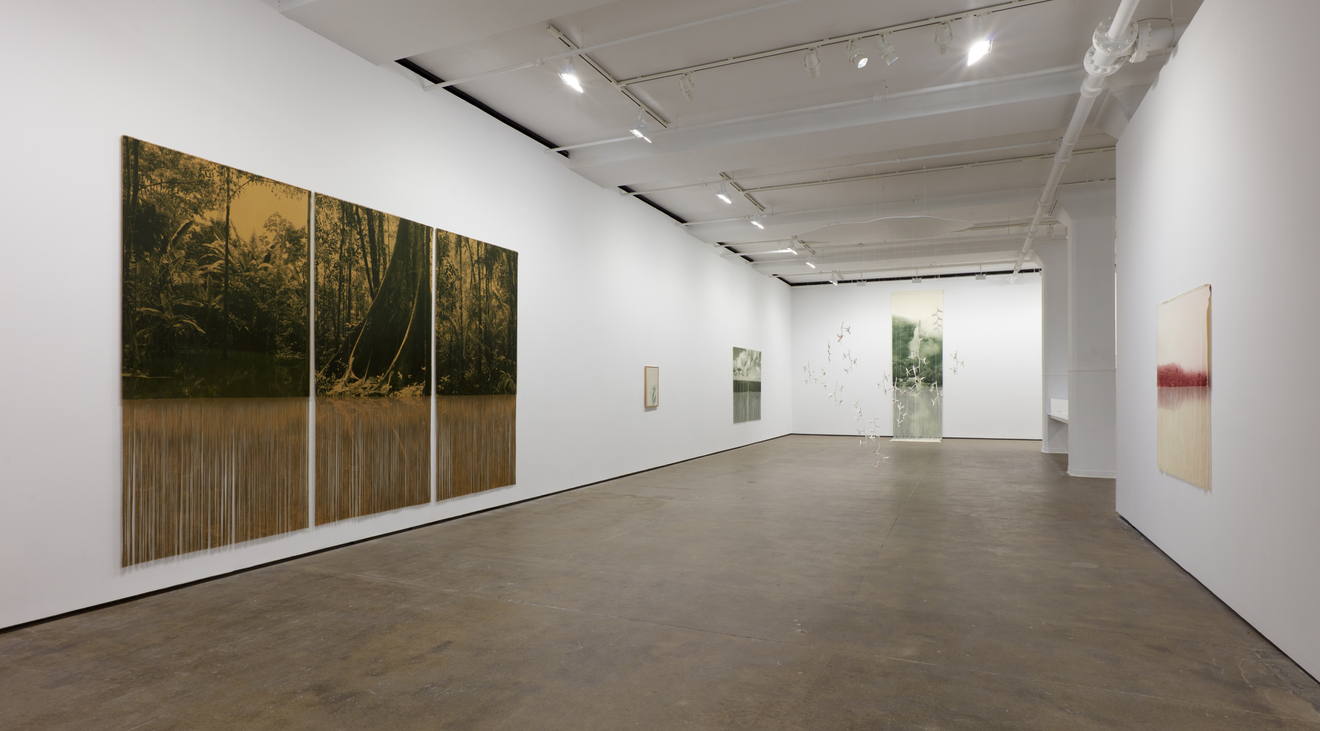 Installation view of&nbsp;Ana Gonz&aacute;lez: R&Iacute;O at Sean Kelly, New York, February 27 &ndash; April 11, 2026, Photography: Jason Wyche, Courtesy: Sean Kelly, New York