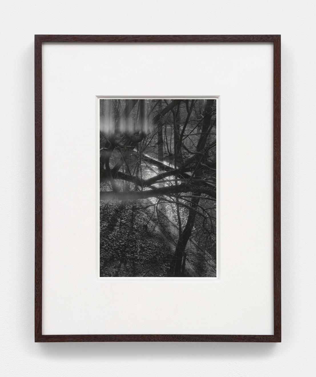 Torbj&oslash;rn R&oslash;dland, Bones in the Canal, 2024 - 2026