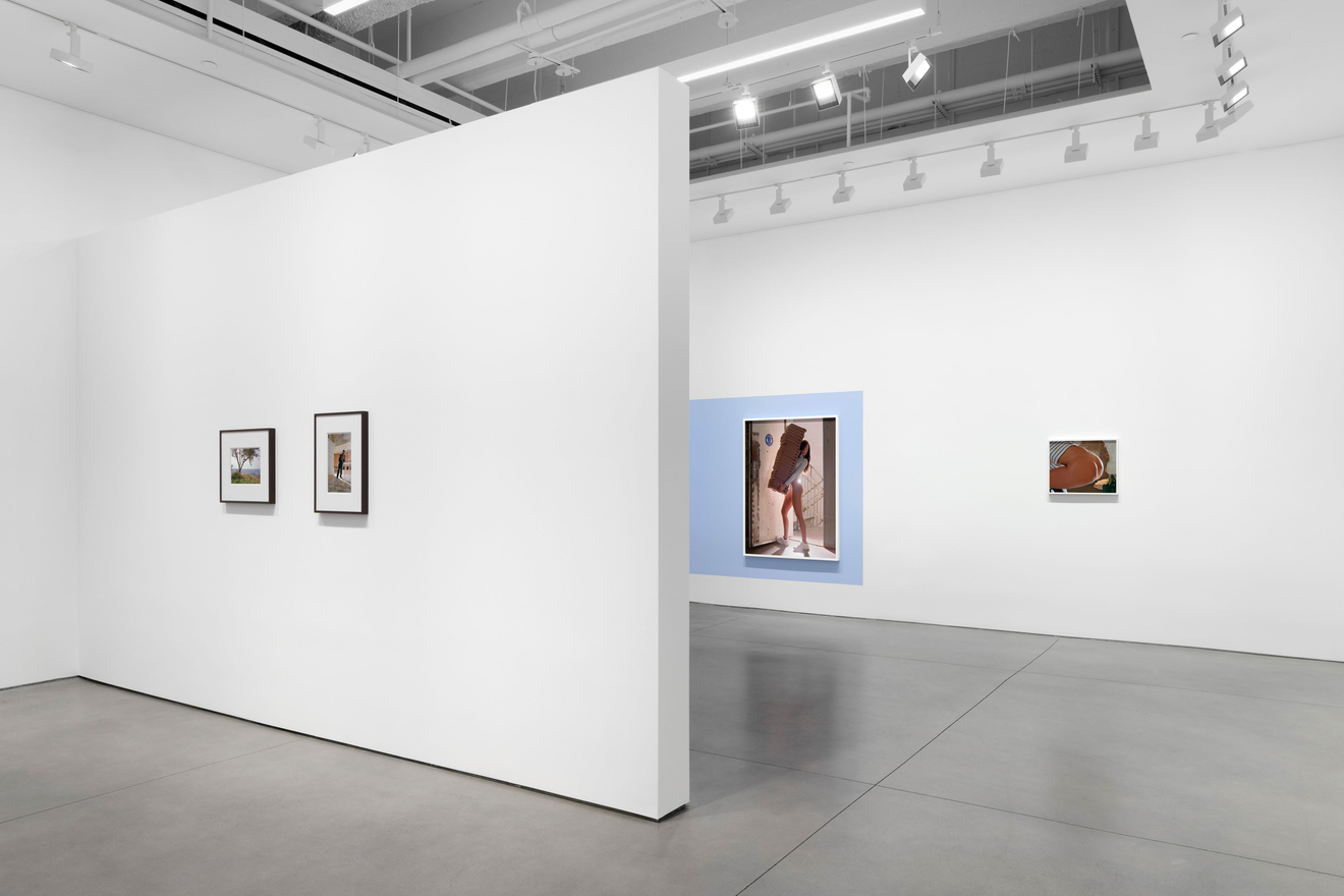 Torbj&oslash;rn R&oslash;dland