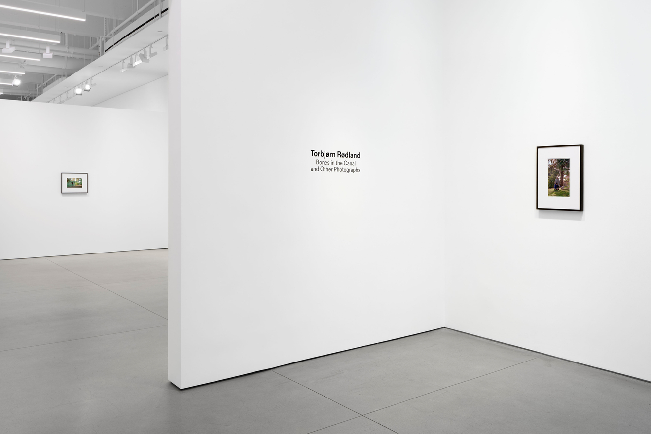 Torbj&oslash;rn R&oslash;dland