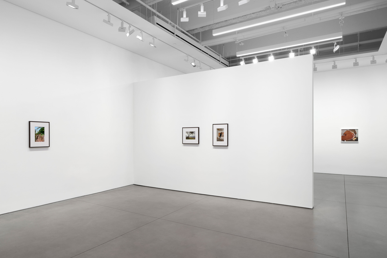 Torbj&oslash;rn R&oslash;dland