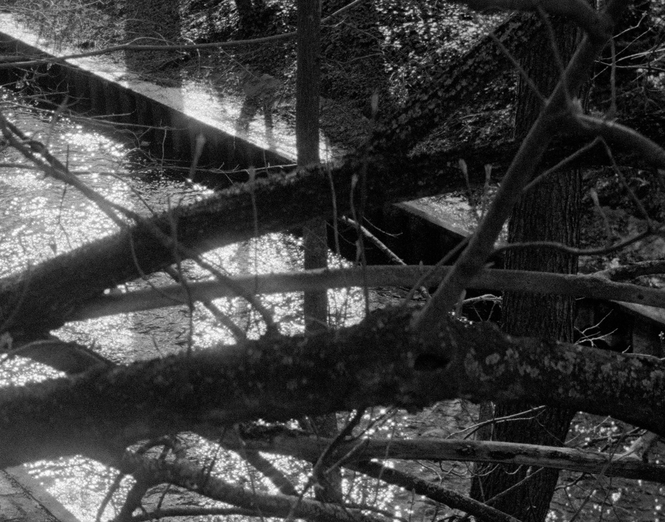 Torbj&oslash;rn R&oslash;dland, Bones in the Canal, 2024 - 2026