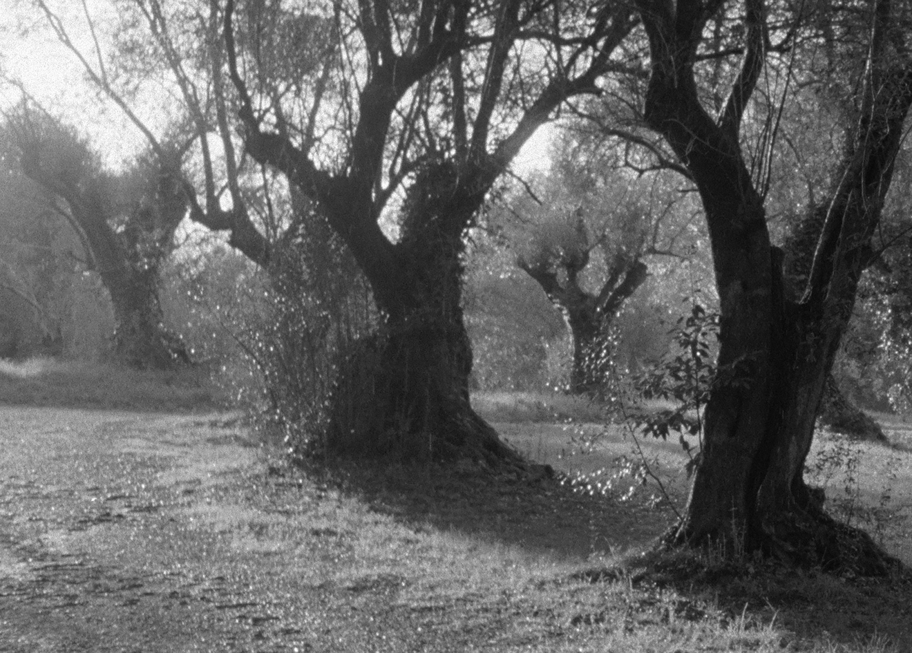 Torbj&oslash;rn R&oslash;dland, Reenactment, 2024 - 2026