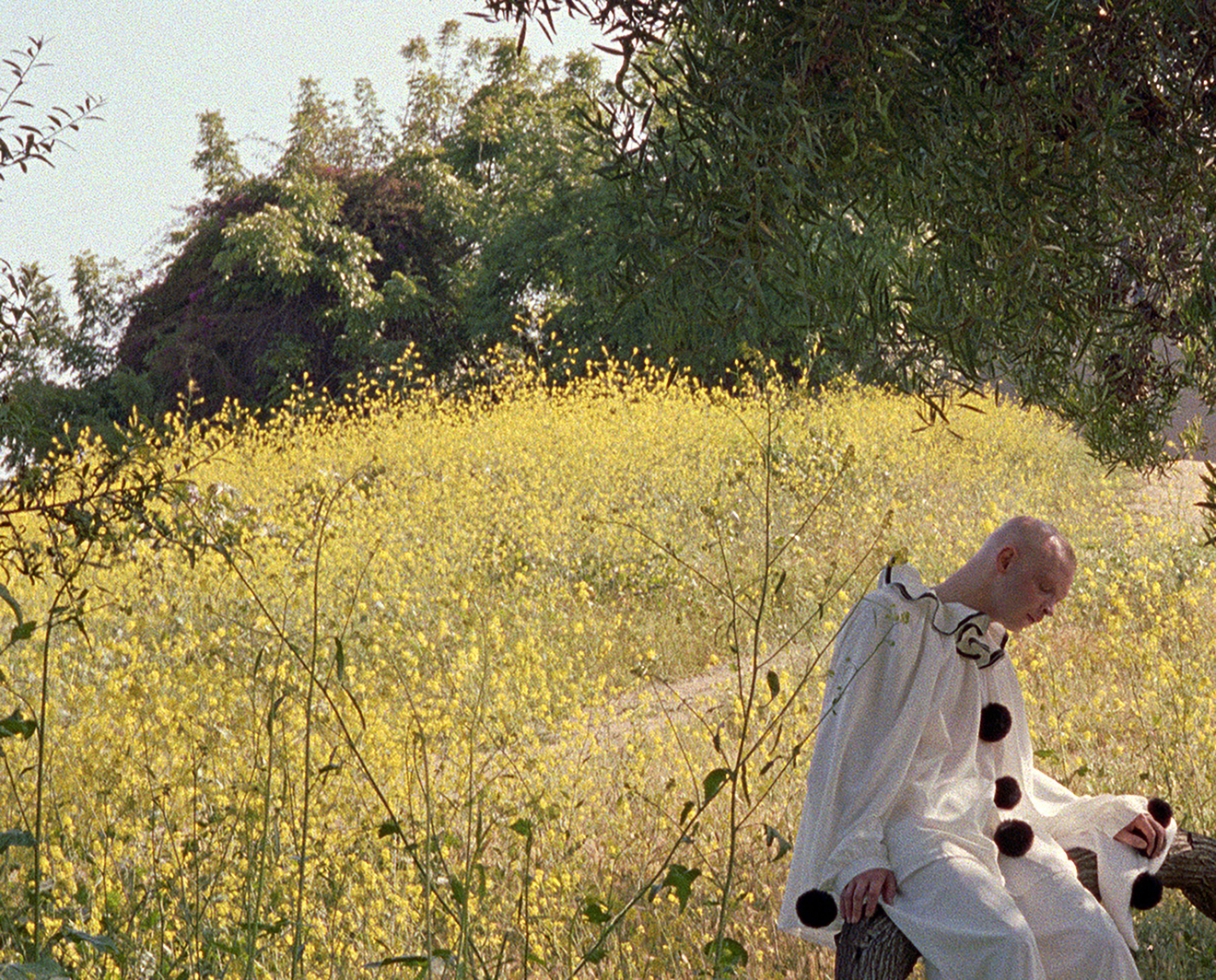 Torbj&oslash;rn R&oslash;dland, Sitting Pierrot, 2025