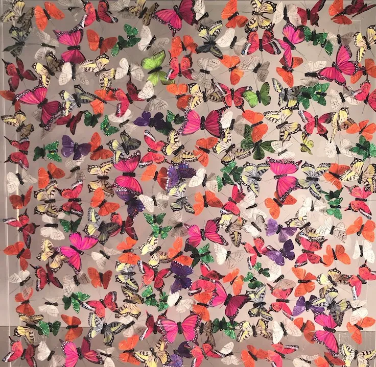 Michael Olsen, Painted Lady, 2018