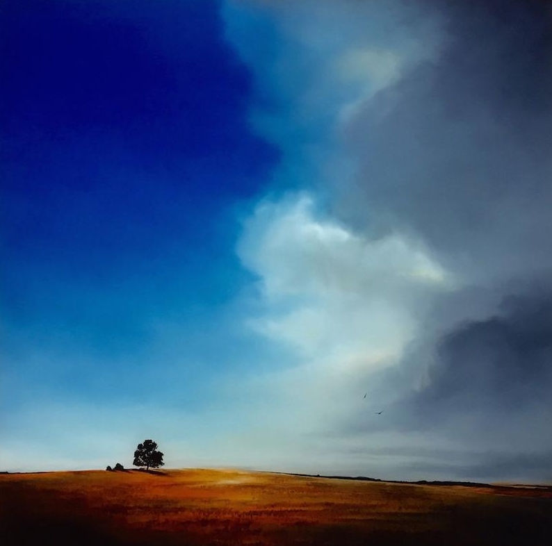 Richard Rowan, Shining High, 2013