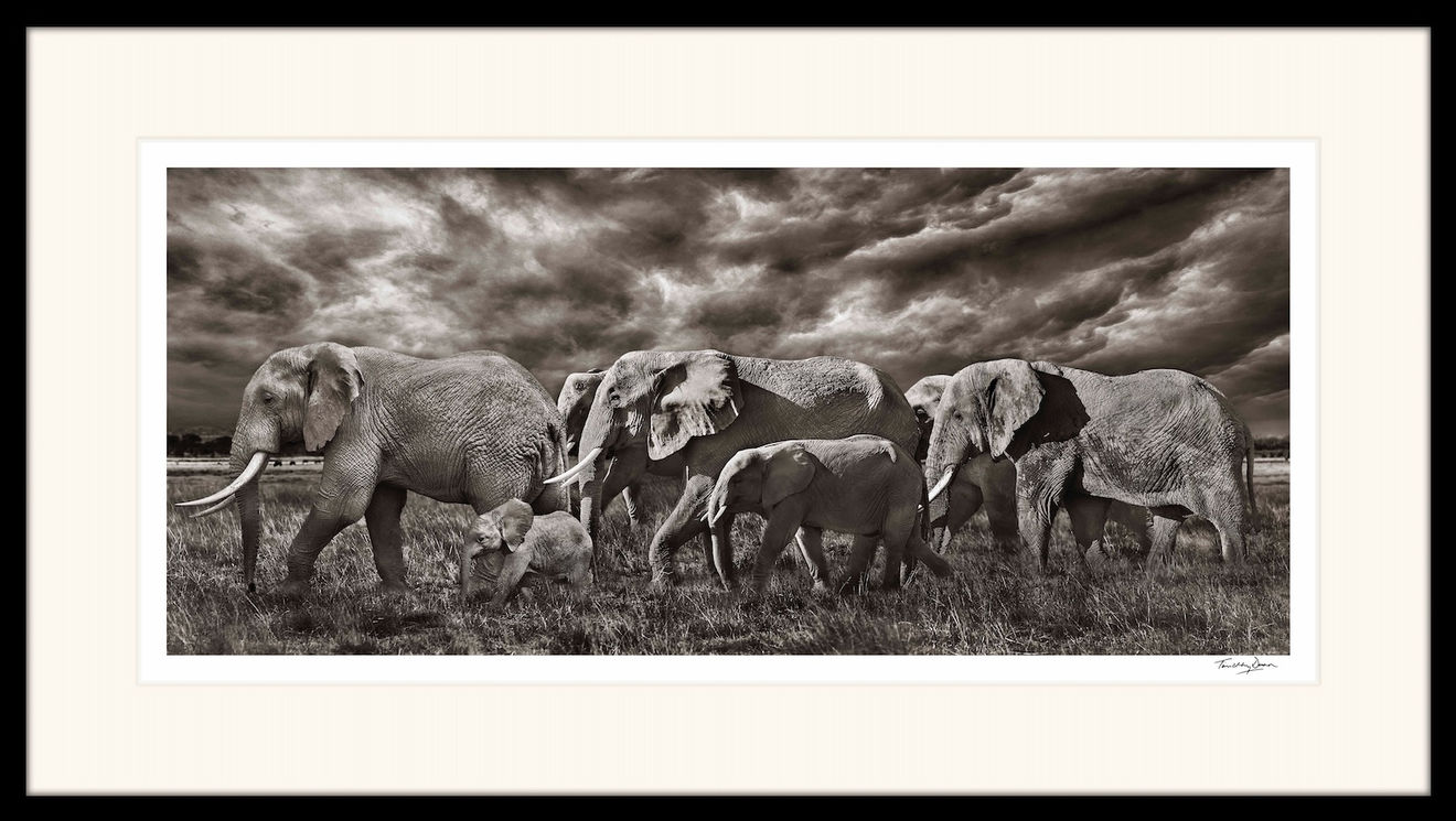 Timothy Dunn, Lucky number seven, 2019