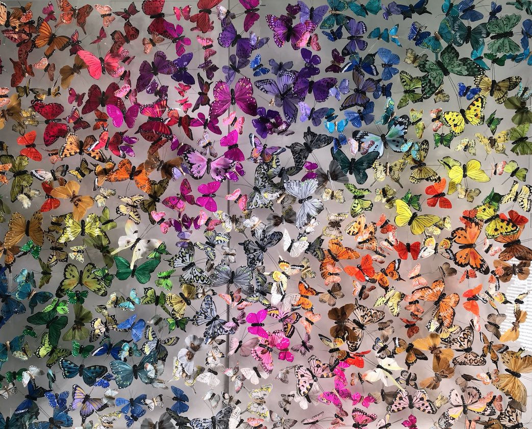 Michael Olsen, Favonis Quercus, 2018