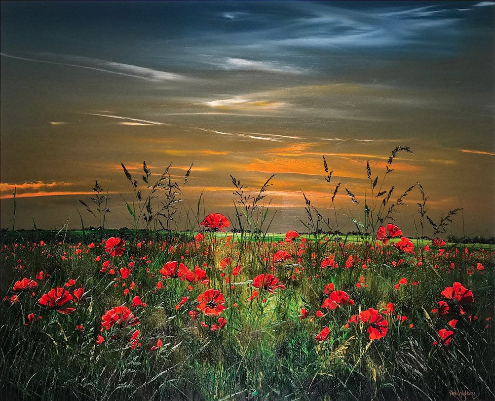 Kimberley Harris, Poppy Field, 2019