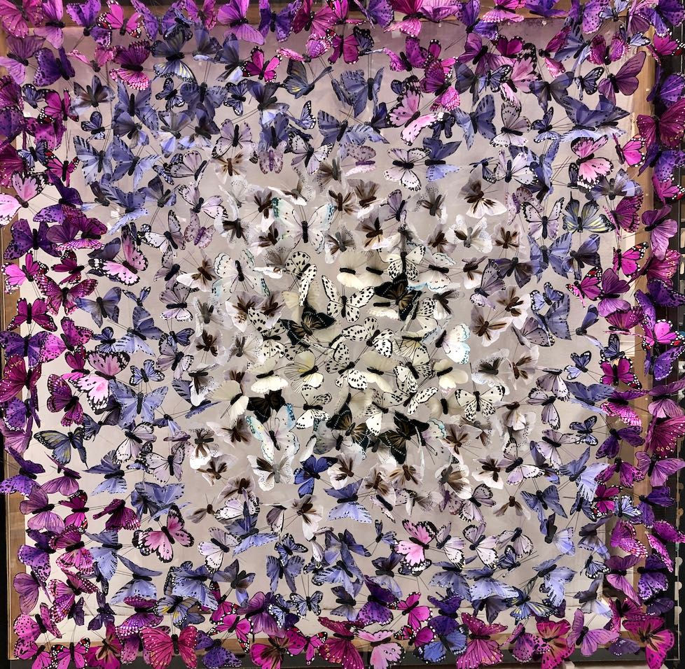 Michael Olsen, Wood White II, 2020