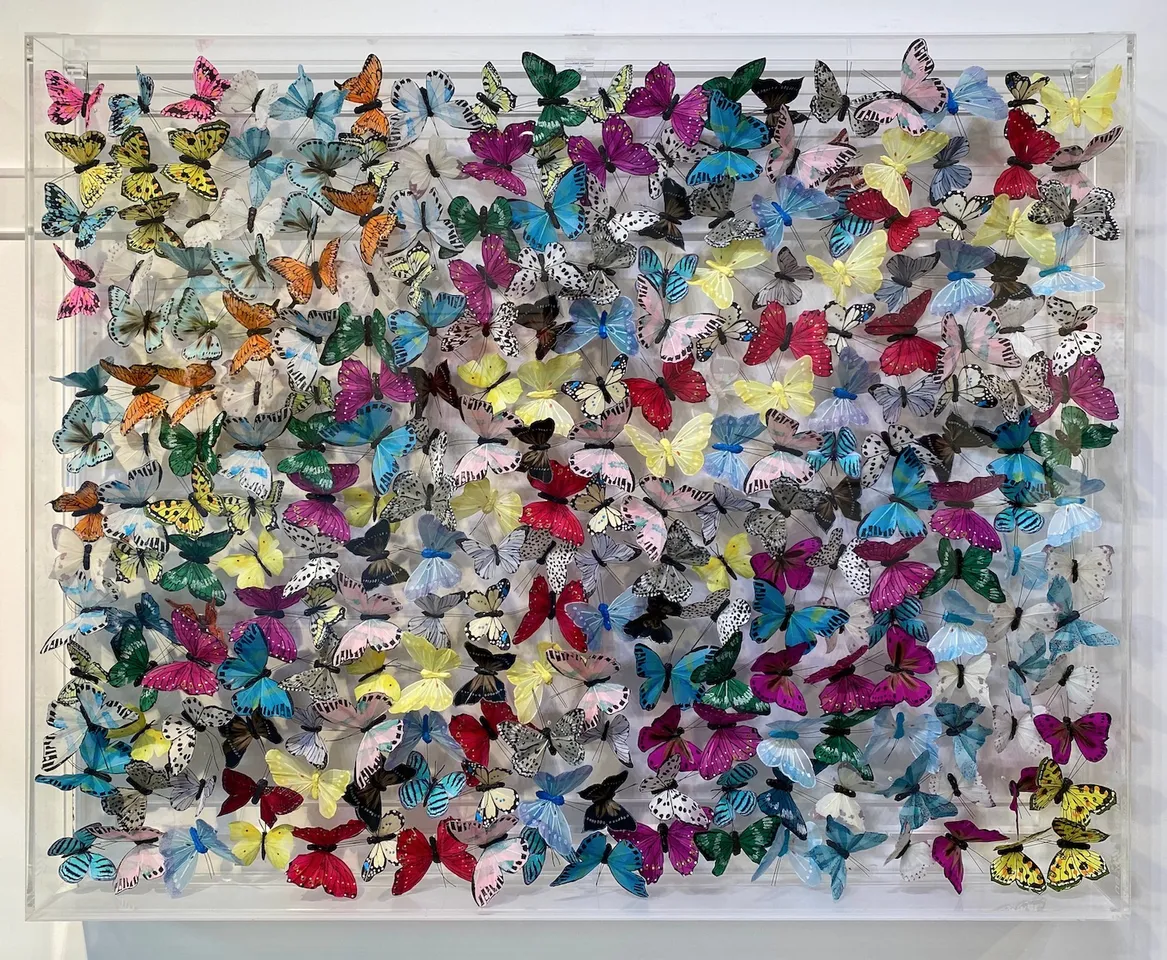 Michael Olsen, Pale Clouded Yellow II, 2022