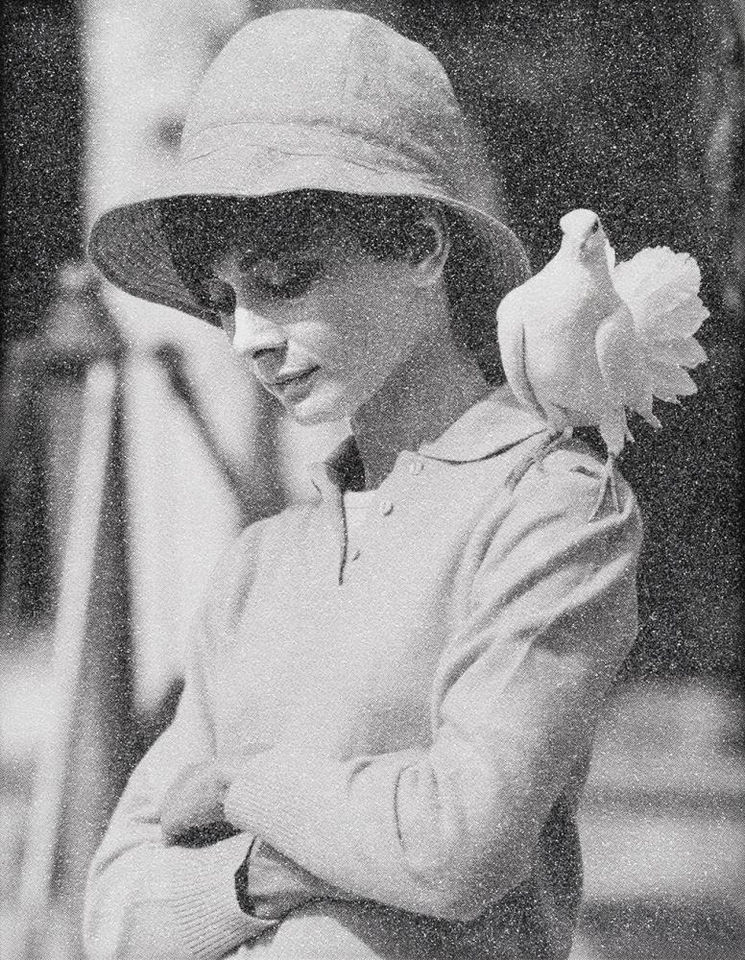 Simon Claridge, Hepburn with Dove