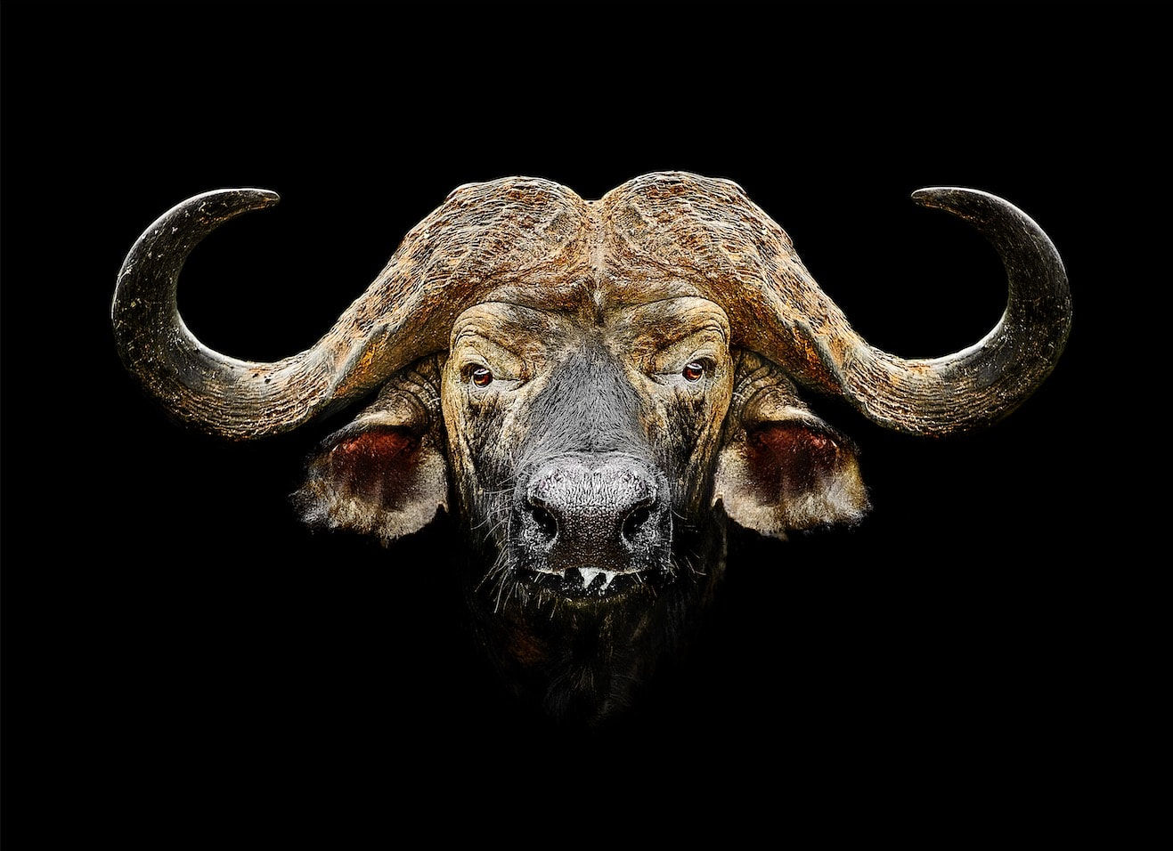 Timothy Dunn, Retired General (colour), 2022