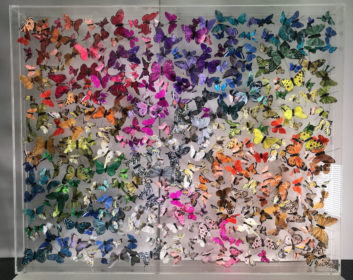 Michael Olsen, Favonis Quercus, 2018