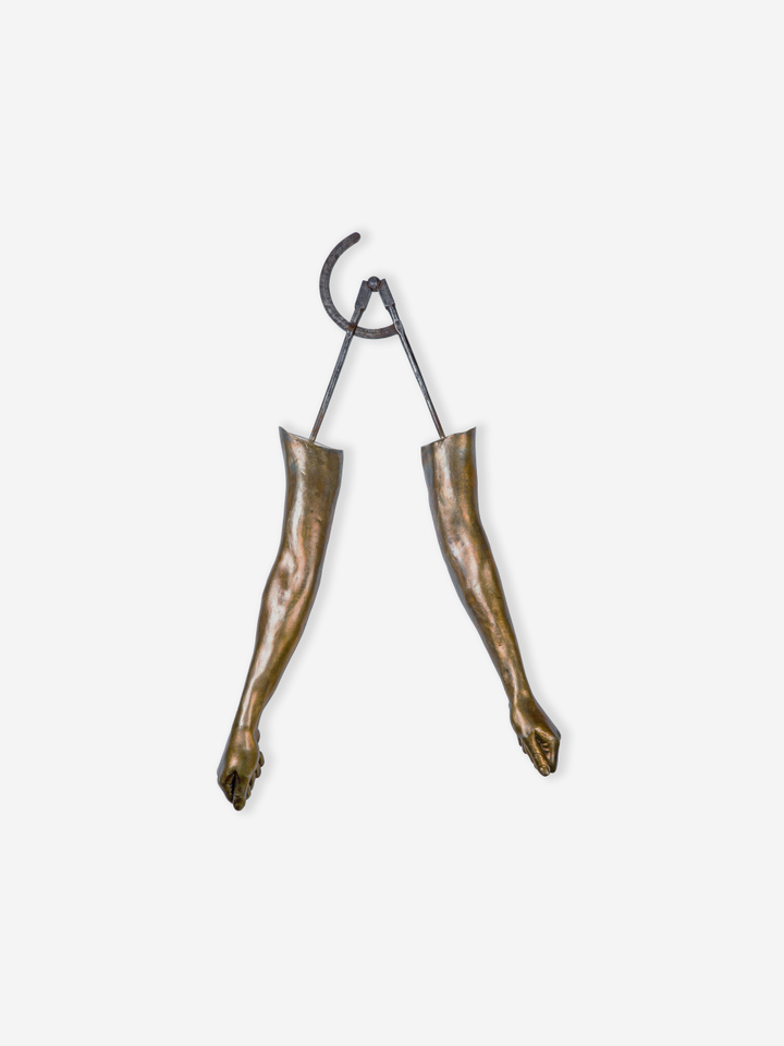 Sara Rahbar, Tolerance (Confessions), 2013