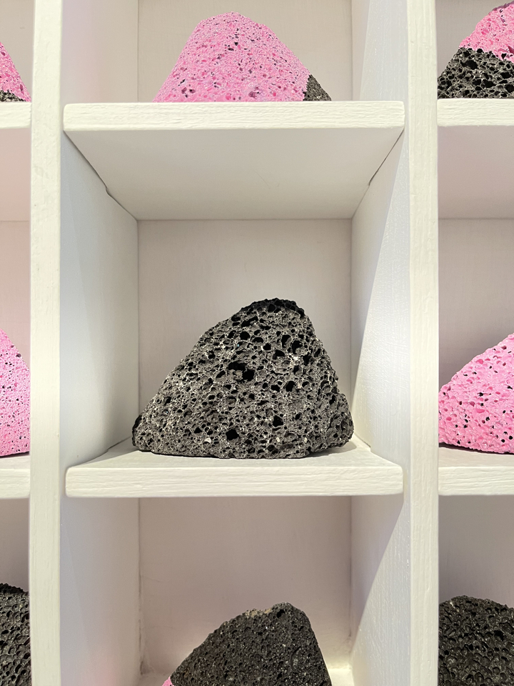 Shadi Rezaei, Pink Wash, 2021