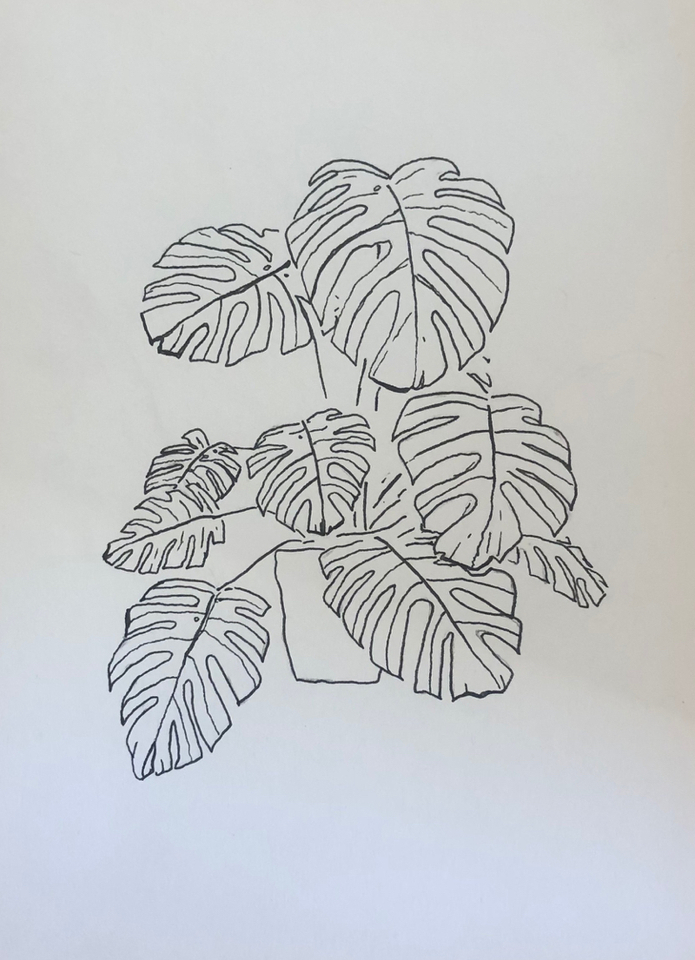 Ania Magliano Monstera plant, 2019 Pen on paper 22.6 x 17.3 cm 8 7/8 x 6 3/4 in