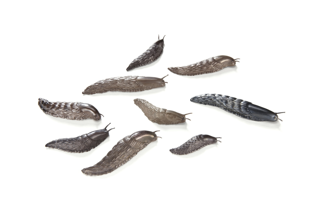 David Bielander, Slug, 2006