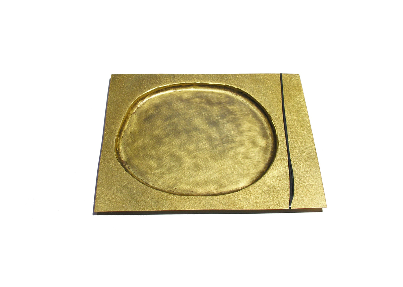 Simone ten Hompel, Specimen Black, 2015