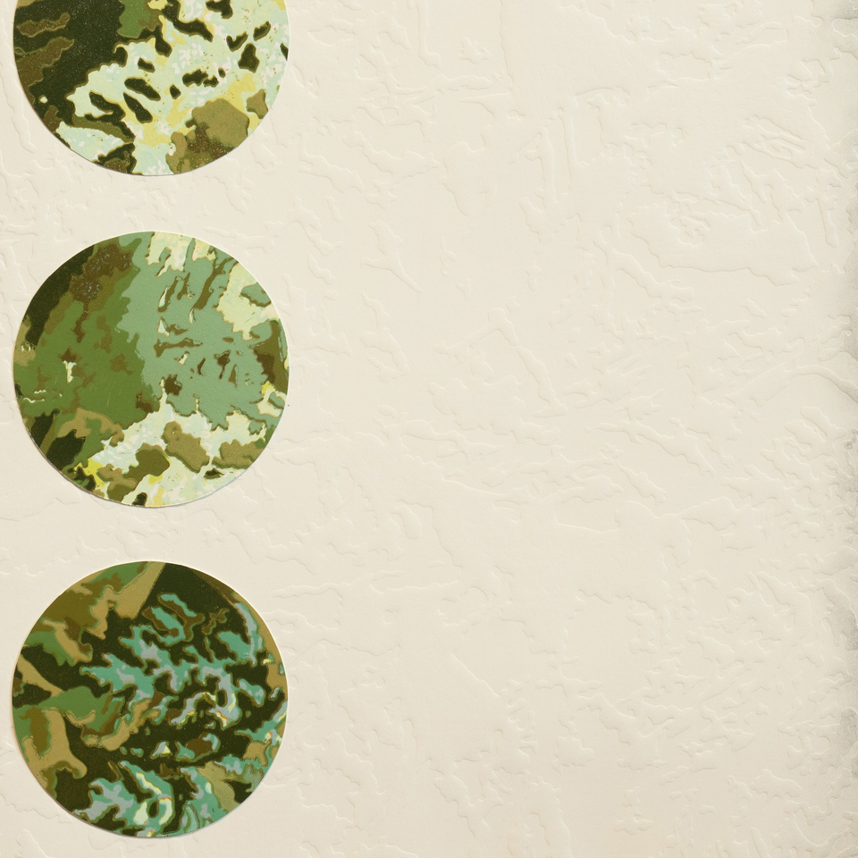 Fiona Van Oyen, Flow, 2025