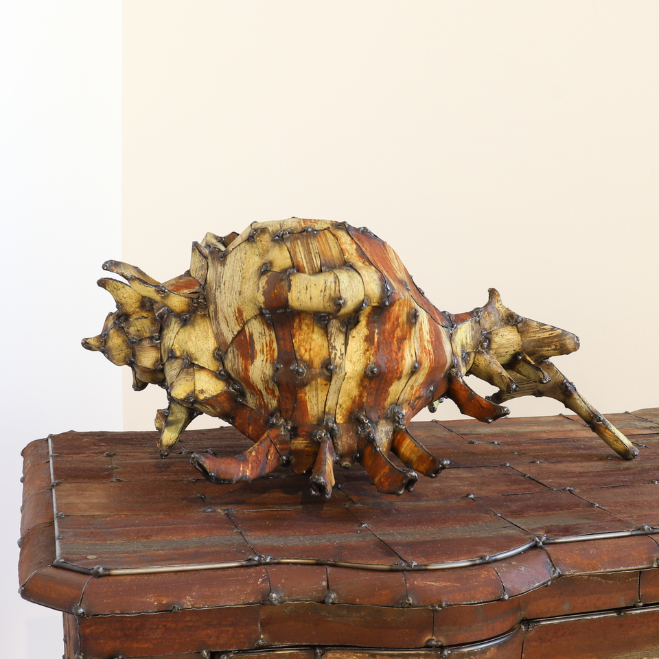 Hannah Kidd, Cook Island Conch, 2020