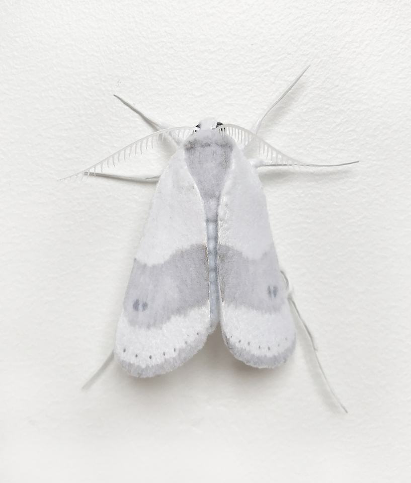 Elizabeth Thomson, Moth #8, 2017