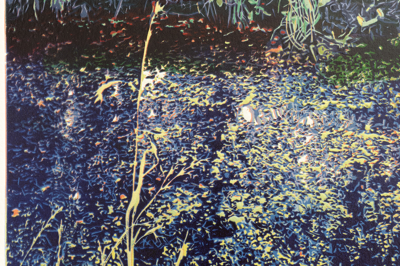 Fiona Van Oyen, Cashmere Stream, Hendersons Road, 2022