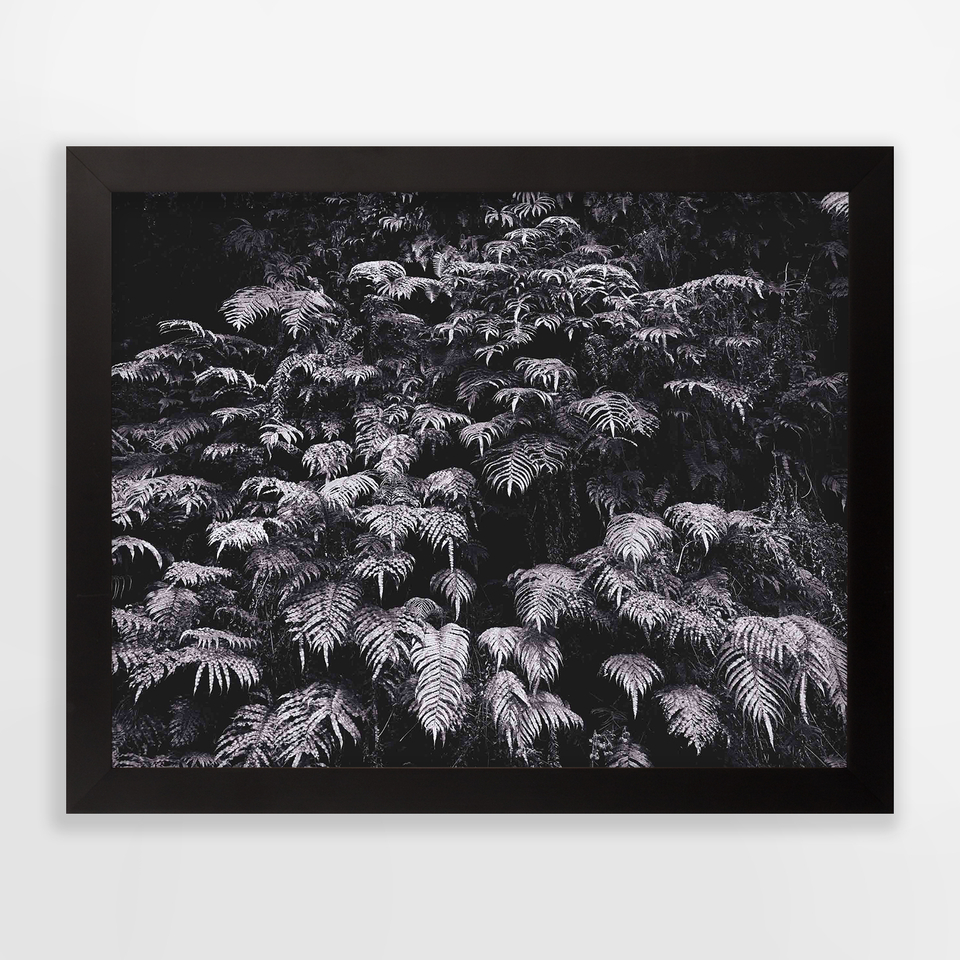 Andrew Drummond, Ferns, 3/3, 2006