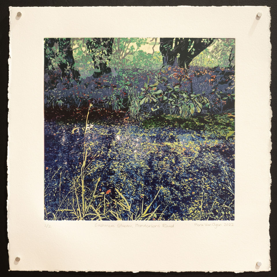 Fiona Van Oyen, Cashmere Stream, Hendersons Road, 2022