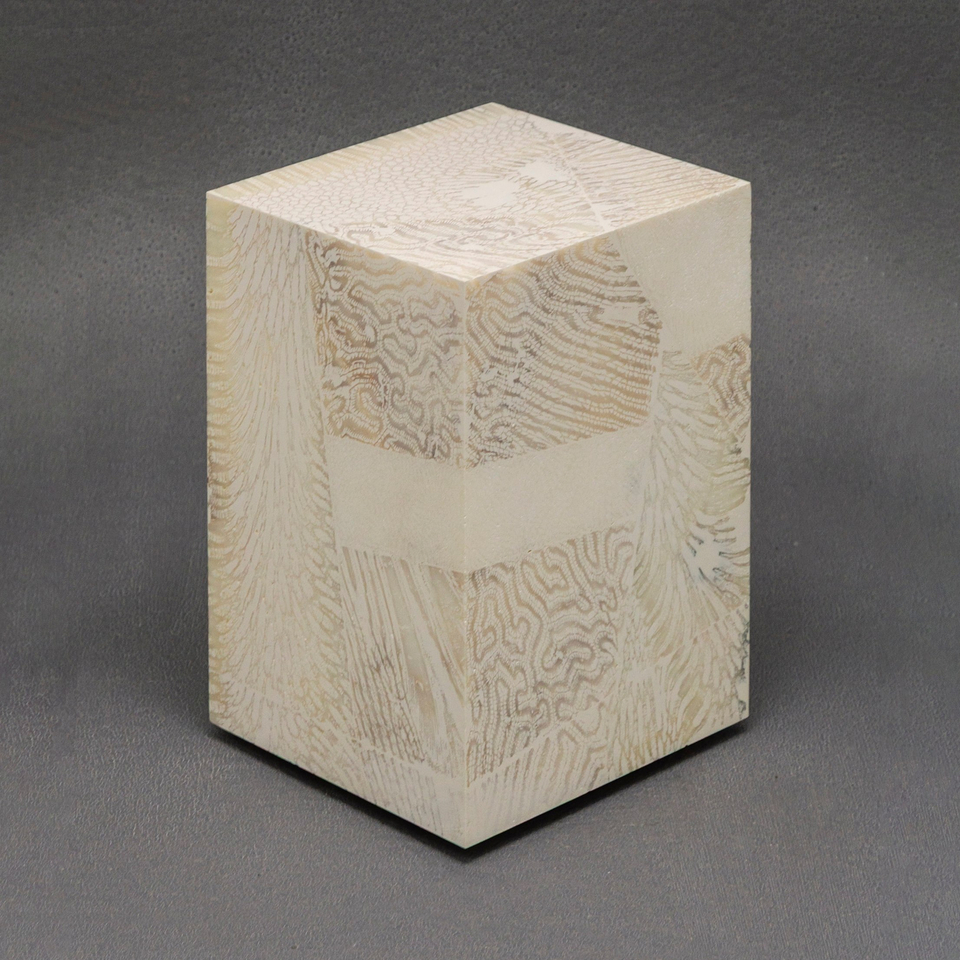 Chauncey Flay, Seawall #39, 2024-25