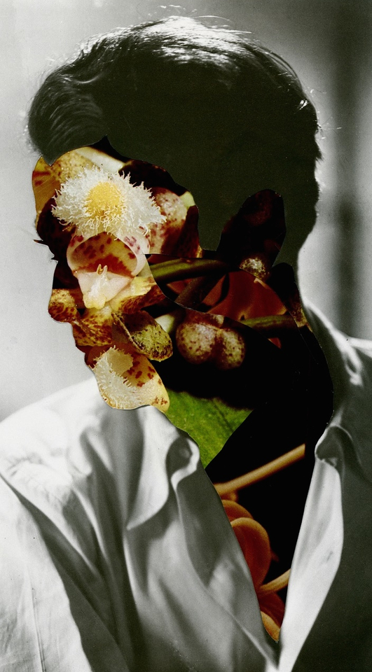 Peter Madden, Flower People, 2017