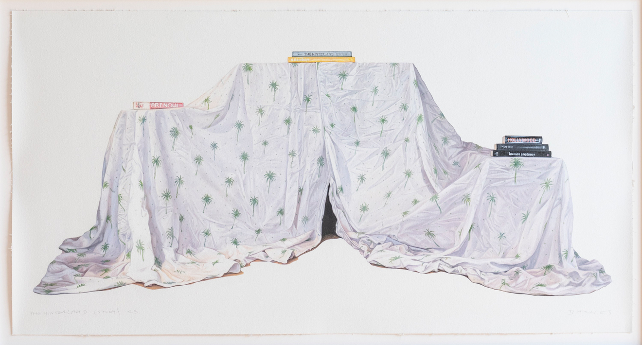 Jordan Barnes, The Hinterland (study), 2025