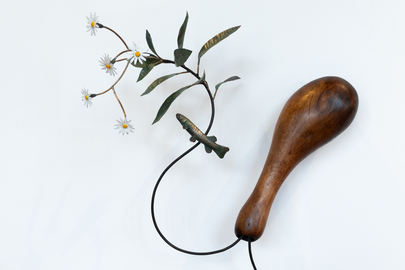 Bing Dawe, From the Constellation Aquarius - Container with Galaxiidae and Streamside Daisy, 2024