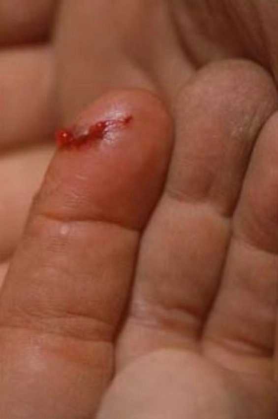 Andrew Castrucci, Tagliato (cut), 2000