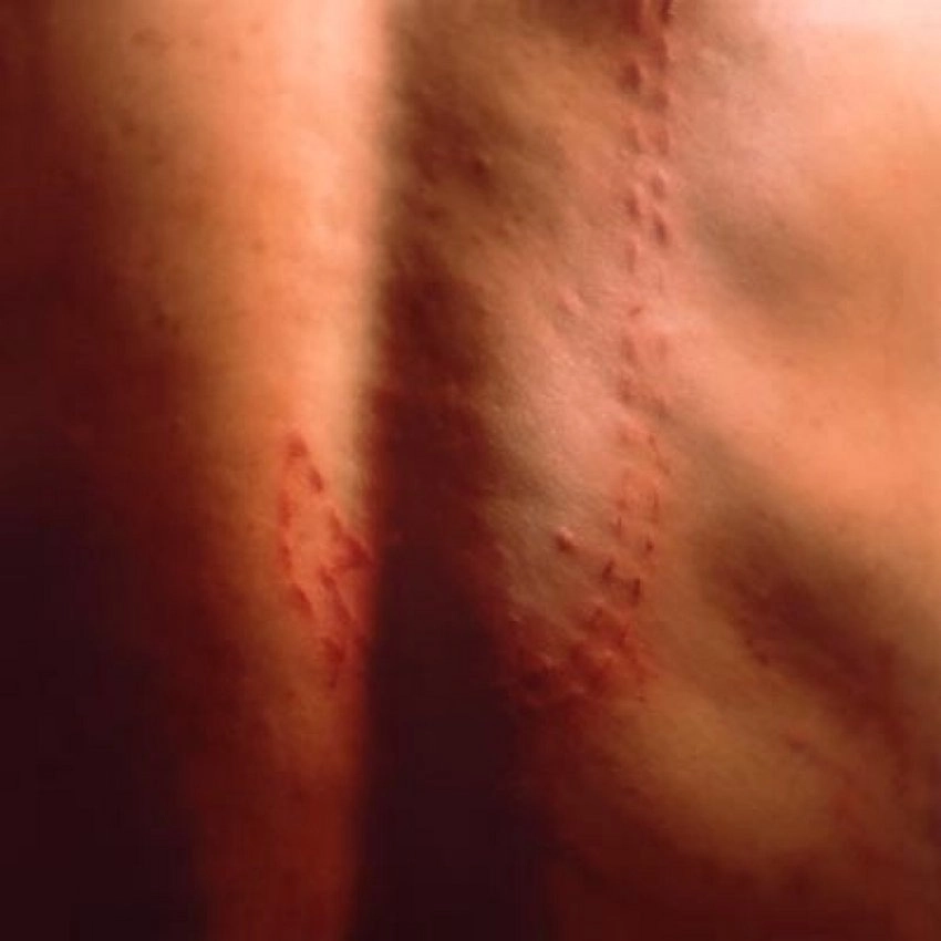 Andrew Castrucci, Portrait of the Artist (photp by H. Petersen), 1997