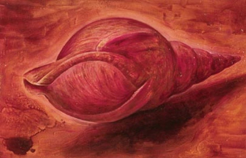 Andrew Castrucci, Seashell, 2000