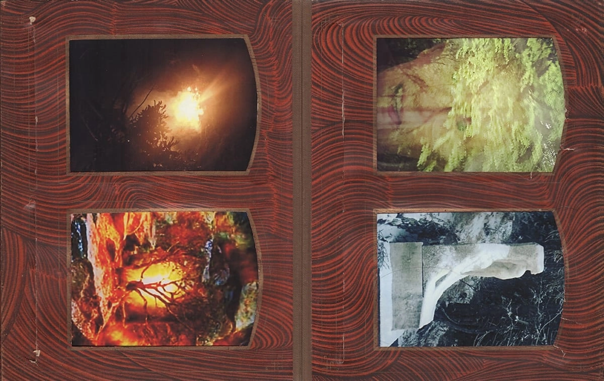 Lola Schnabel, HORSE, 2016