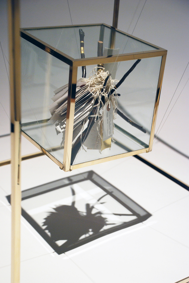 Nicole Wassall My Tree is not your Tree